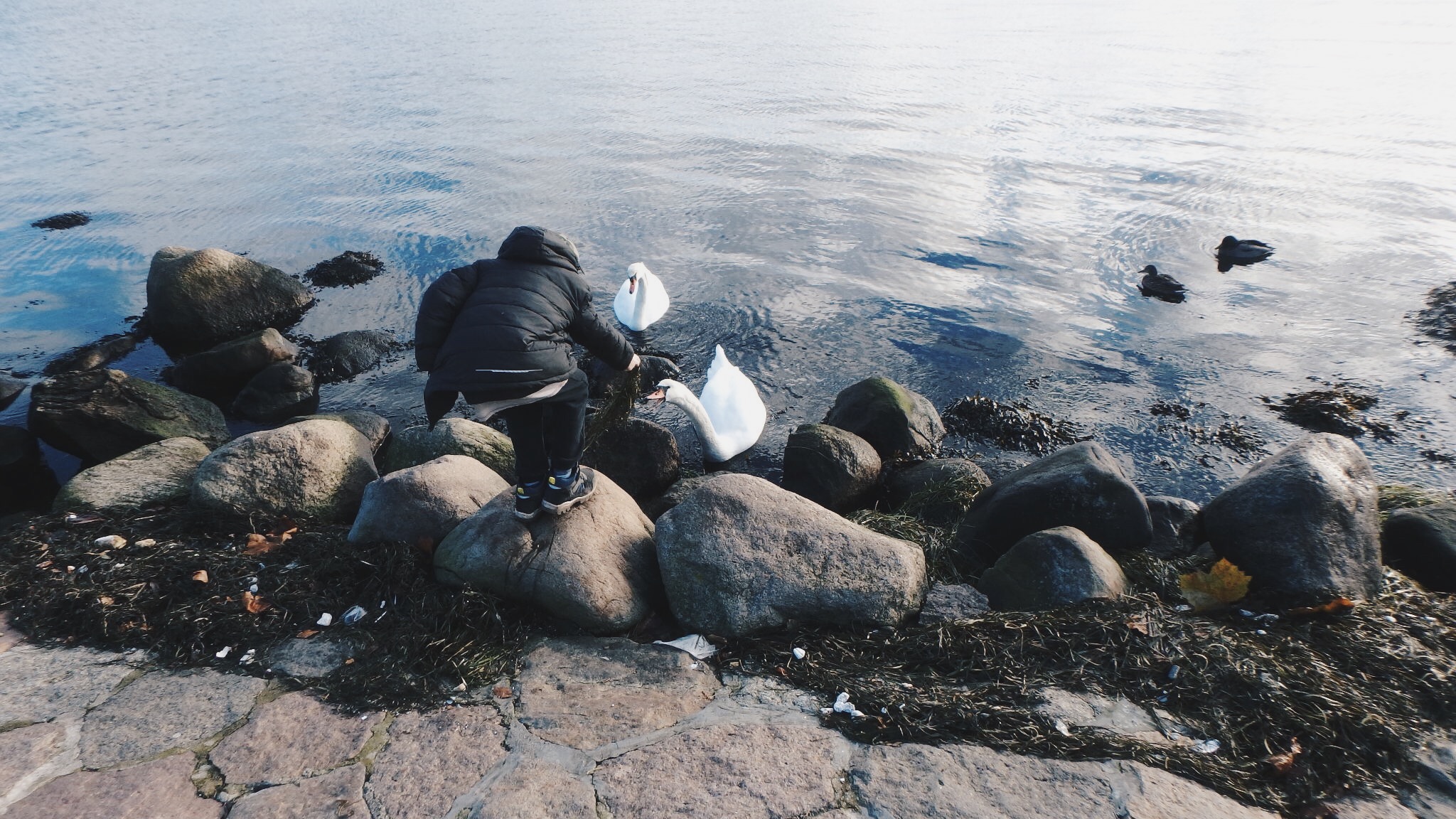 Processed with VSCO with hb2 preset