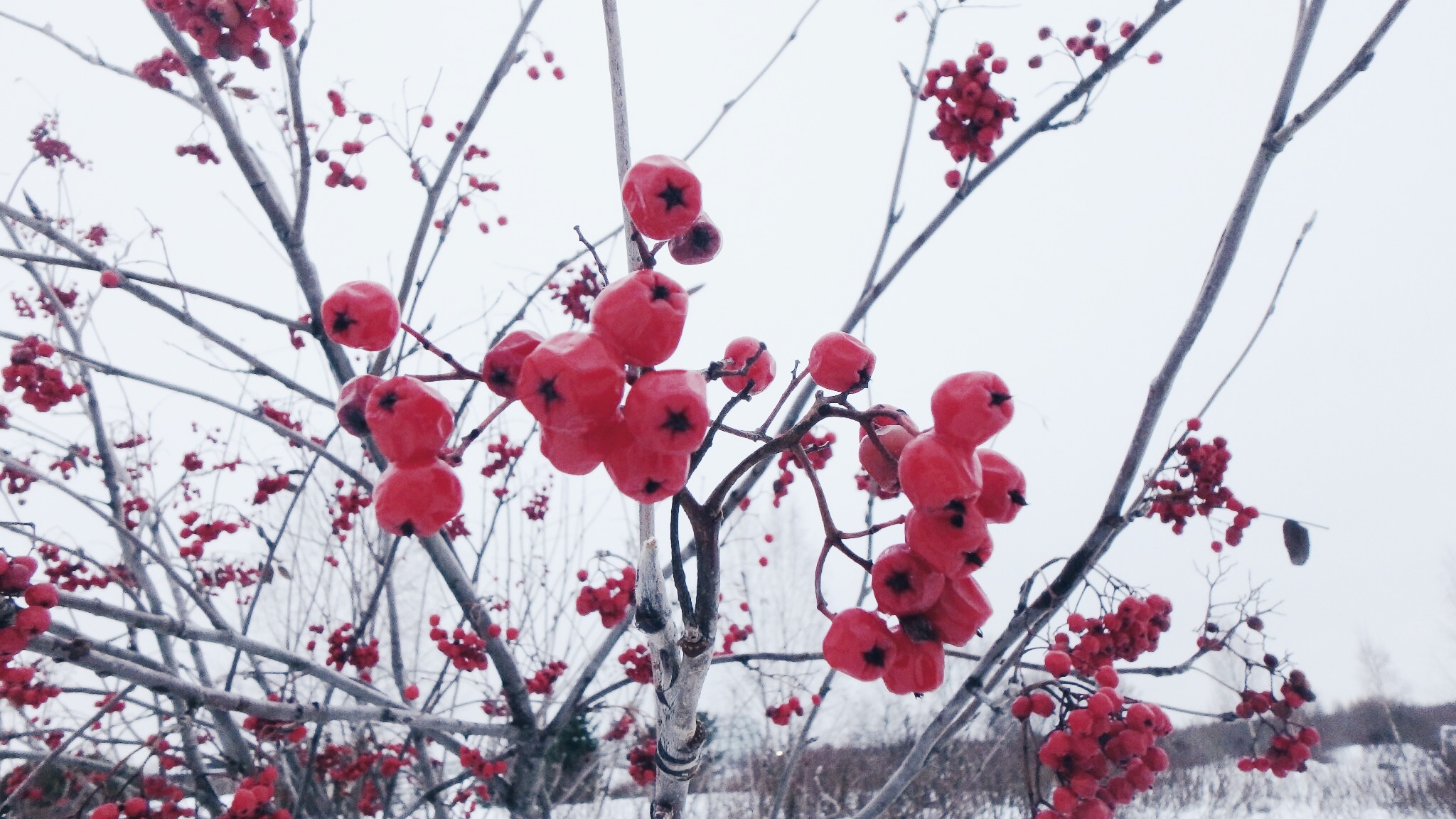 Processed with VSCO with hb1 preset