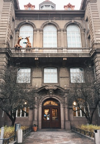 Processed with VSCO with hb2 preset