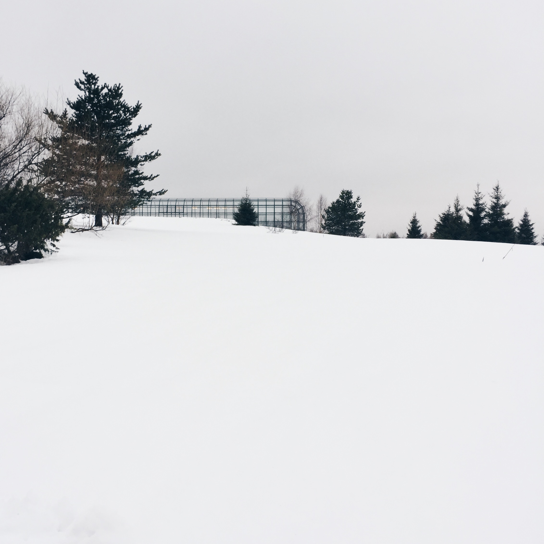 Processed with VSCO with hb1 preset