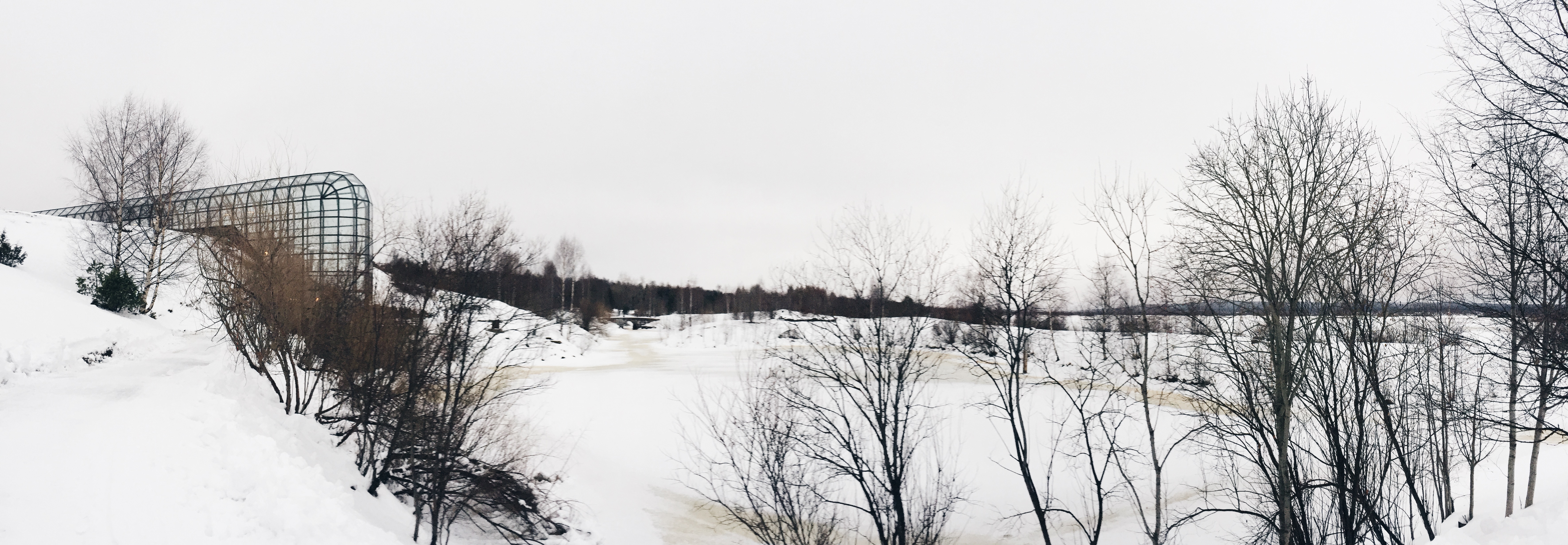 Processed with VSCO with hb1 preset