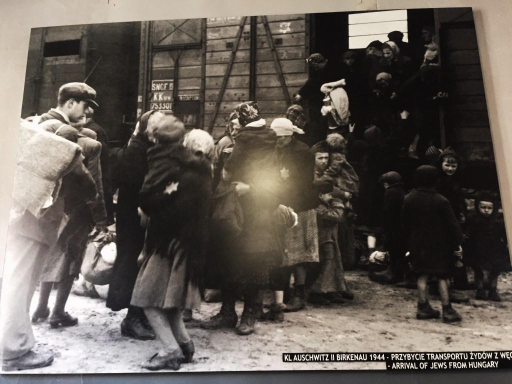 7 Places about the Holocaust You Must Visit